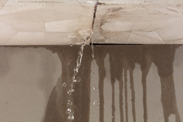 Professional Water Damage Repair technician working in Hutchins, TX